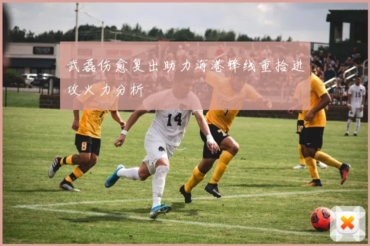 武磊伤愈复出助力海港锋线重拾进攻火力分析