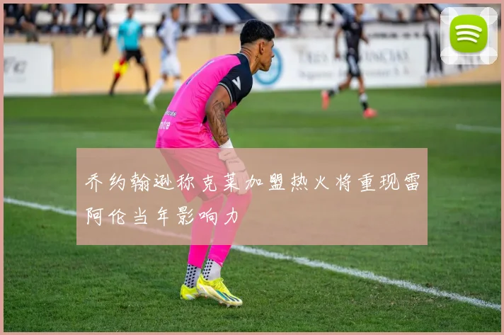 乔约翰逊称克莱加盟热火将重现雷阿伦当年影响力